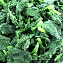 IQF Spinach Leaf Cuts in High Quality